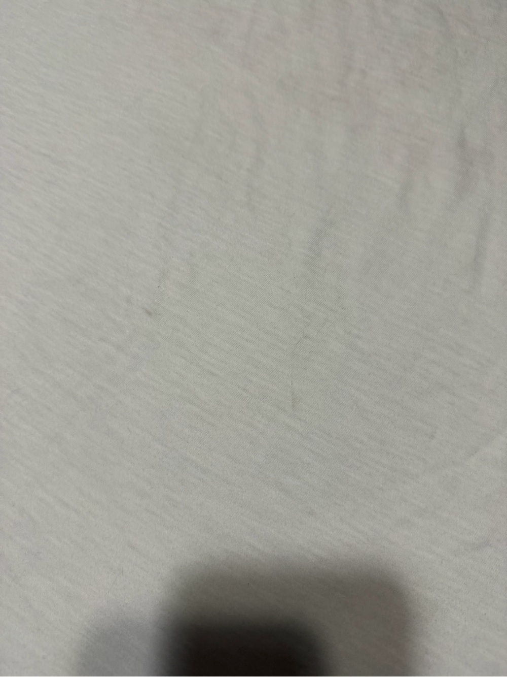 Size L - Polo Ralph Lauren RL Tigers T Shirt - Picture 8 of 8